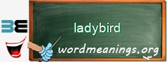 WordMeaning blackboard for ladybird